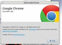 Google Chrome 18