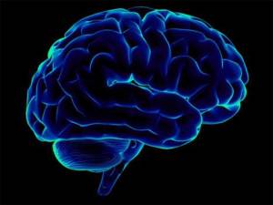 Мозг человека учиться во сне